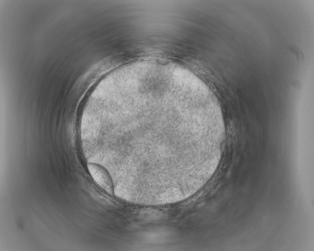 X0000110720290200907241212