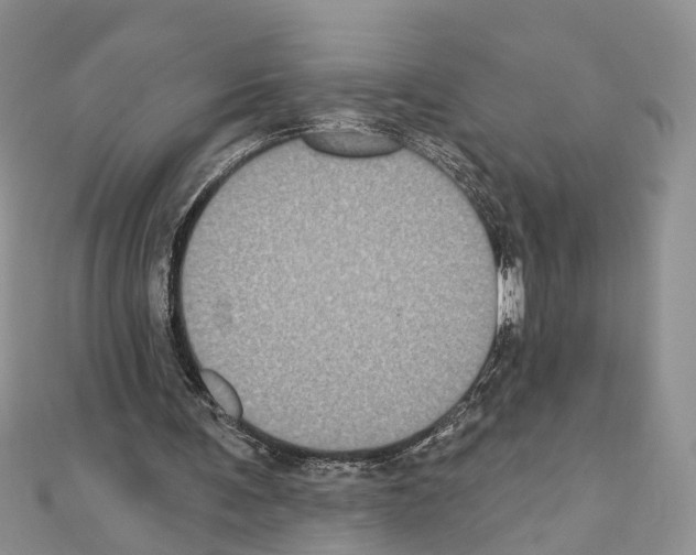 X0000110720291200907241212