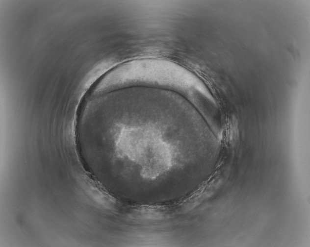 X0000110720292200907241212