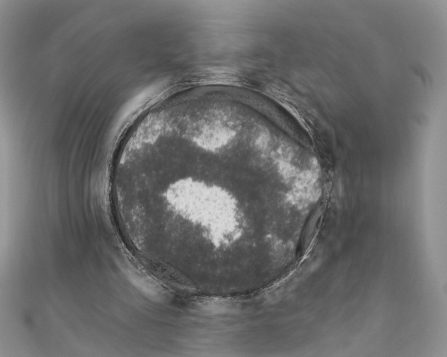 X0000110720293200907241212