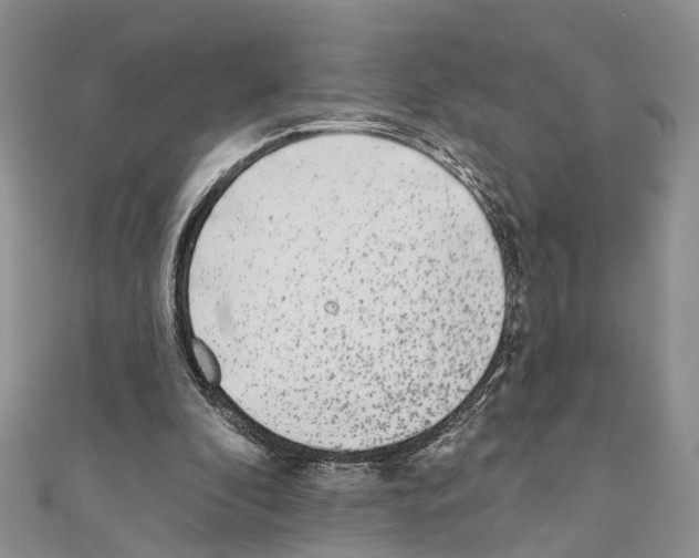 X0000110720296200907241212