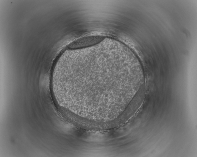 X0000110720297200907241212