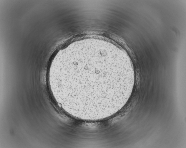 X0000110720299200907241212