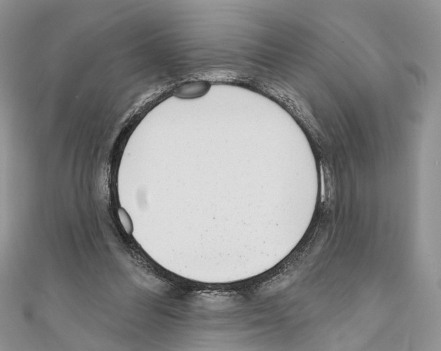 X0000110720300200907241212