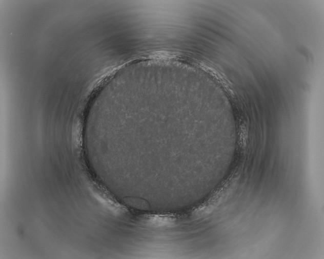 X0000110720303200907241212