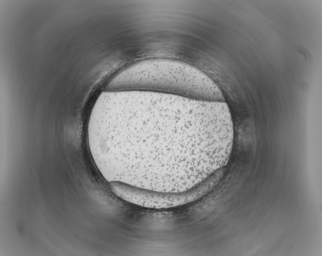 X0000110720304200907241212