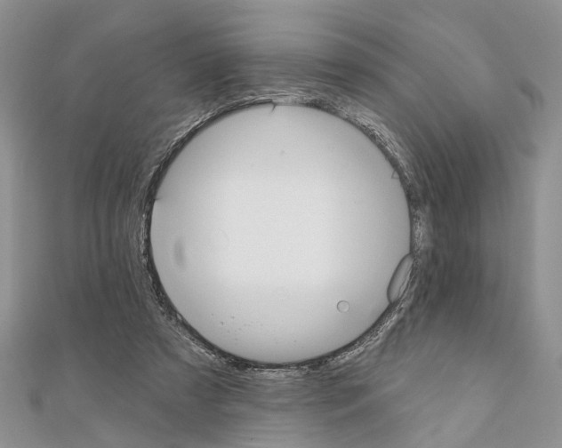 X0000110720305200907241212