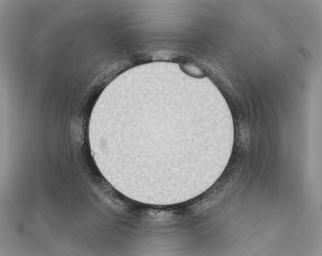 X0000110720311200907241212