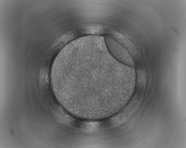 X0000110720313200907241212