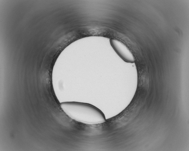 X0000110720317200907241212