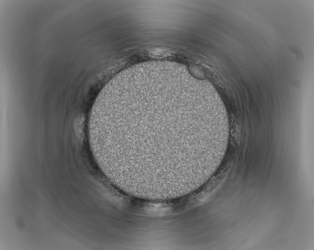 X0000110720319200907241212