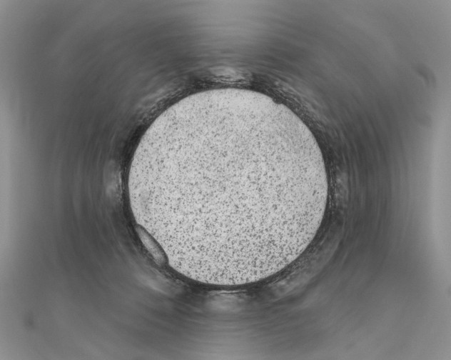 X0000110720320200907241212