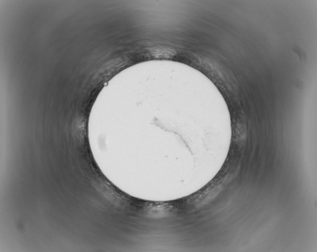 X0000110720321200907241212