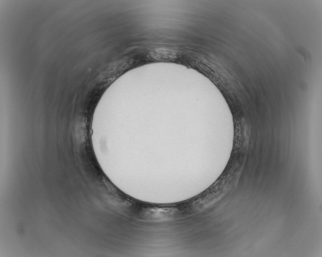 X0000110720323200907241212