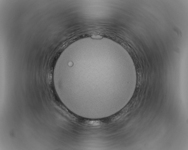 X0000110720324200907241212