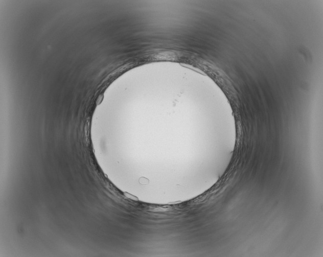 X0000110720325200907241212