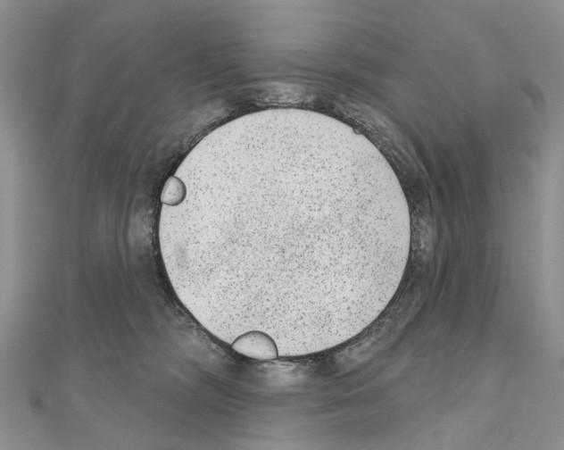 X0000110720326200907241212