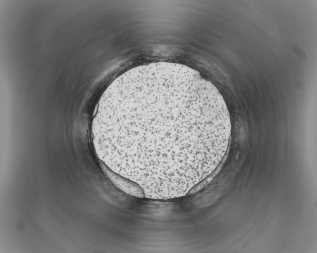 X0000110720328200907241212