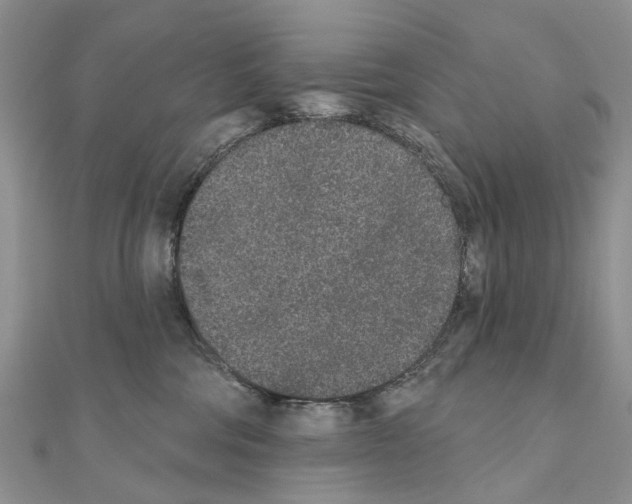 X0000110720330200907241212