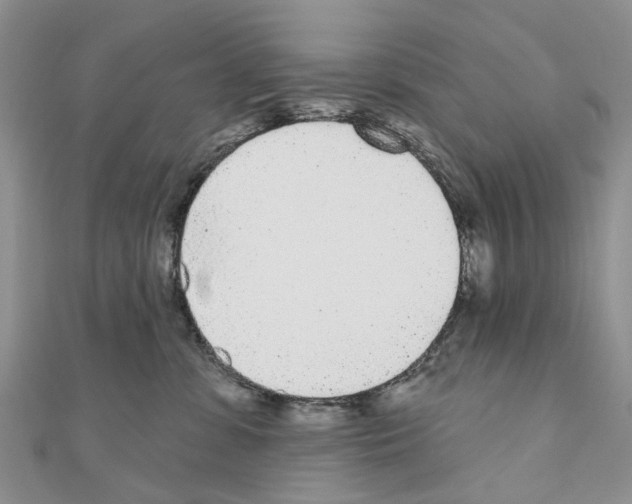 X0000110720331200907241212