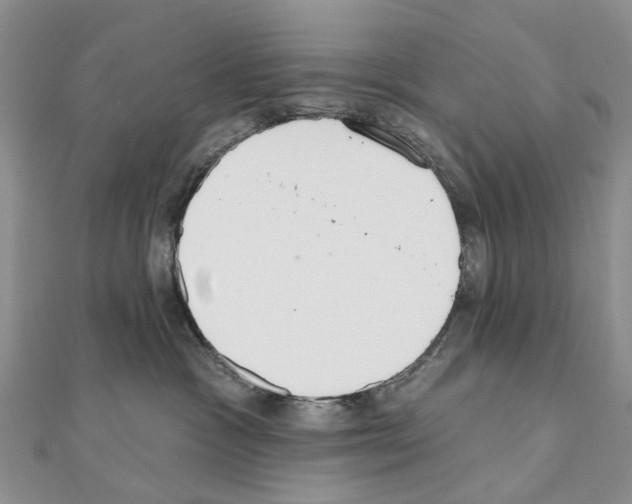 X0000110720333200907241212