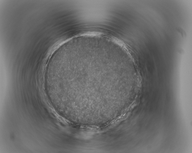 X0000110720337200907241211