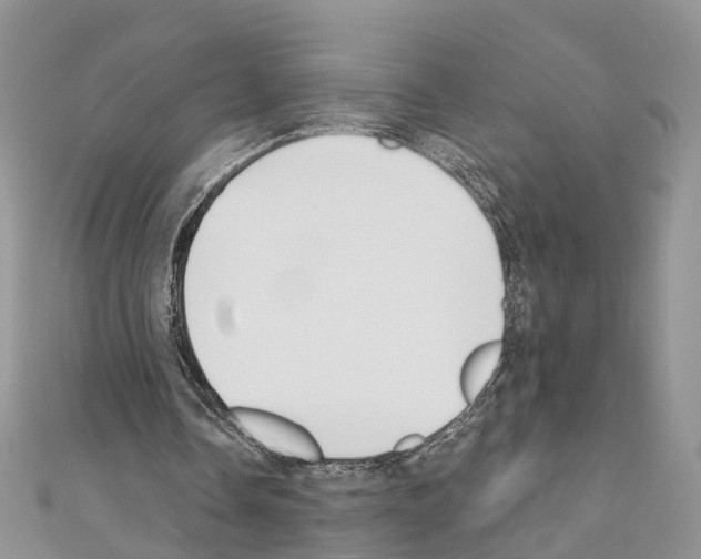 X0000110720338200907241211