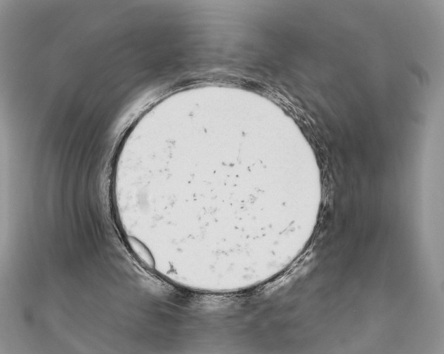 X0000110720341200907241211