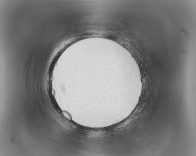 X0000110720342200907241211