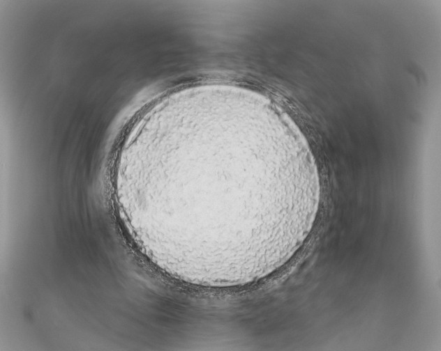 X0000110720343200907241211