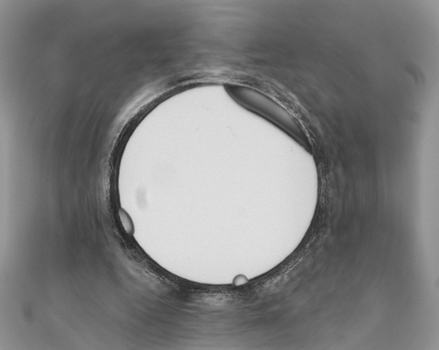 X0000110720344200907241211