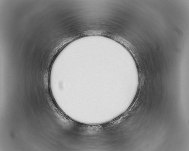 X0000110720345200907241211