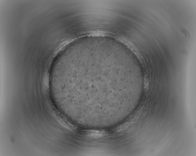 X0000110720347200907241211