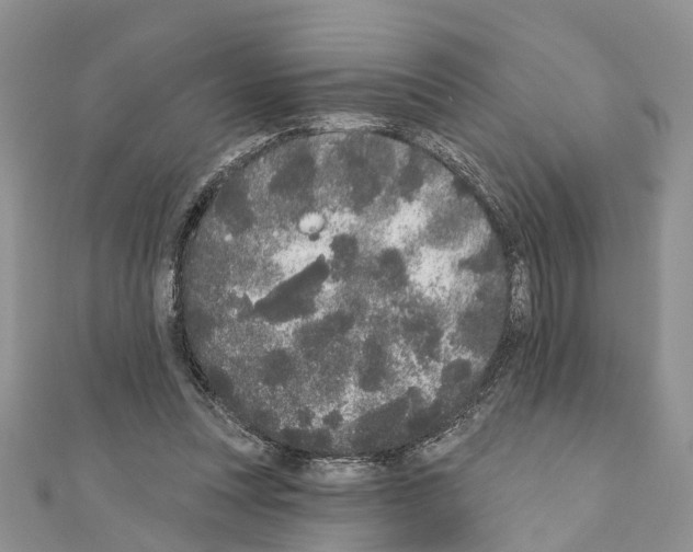 X0000110720351200907241211