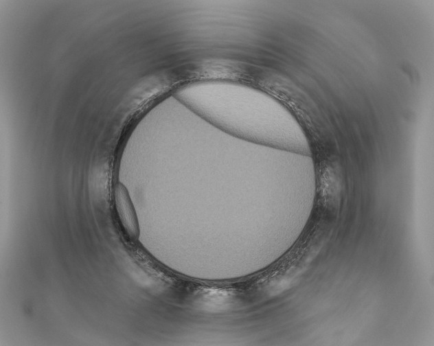 X0000110720352200907241211