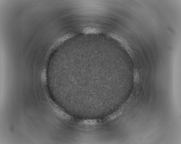 X0000110720353200907241211