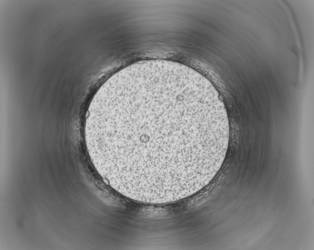 X0000110720354200907241211