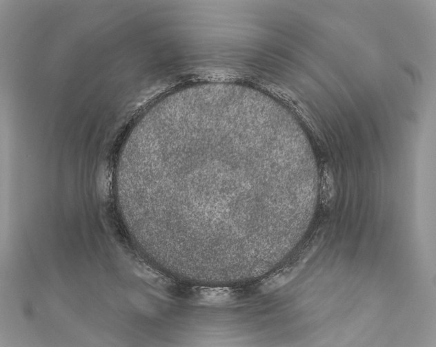 X0000110720355200907241211