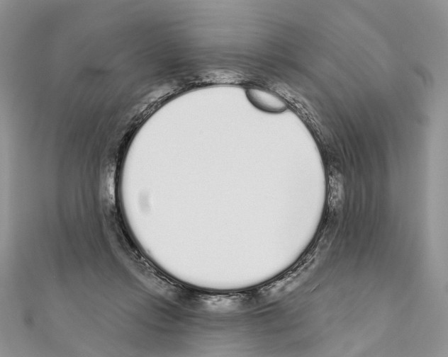 X0000110720358200907241211