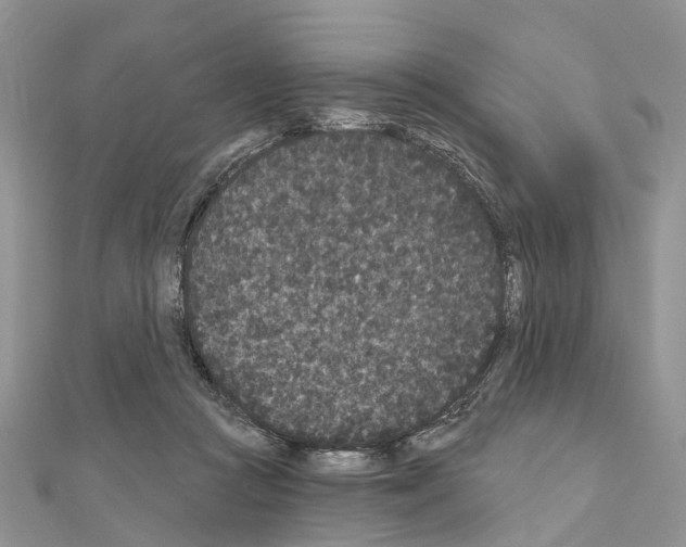 X0000110720361200907241211