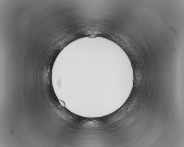 X0000110720364200907241211