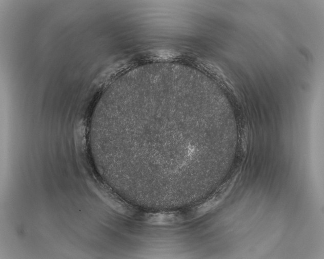 X0000110720366200907241211