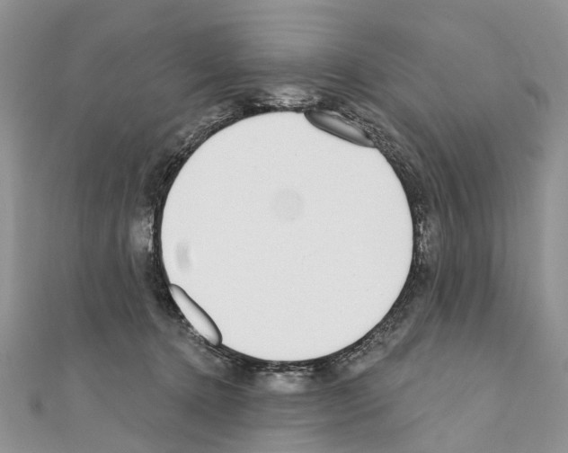 X0000110720368200907241211