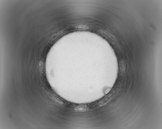 X0000110720369200907241211