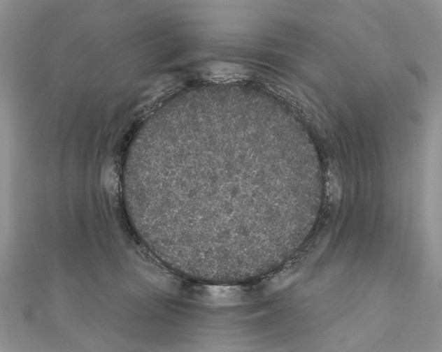 X0000110720371200907241212