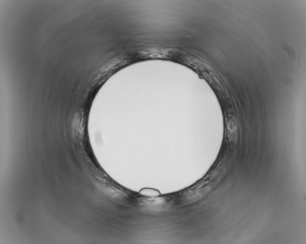 X0000110720374200907241212