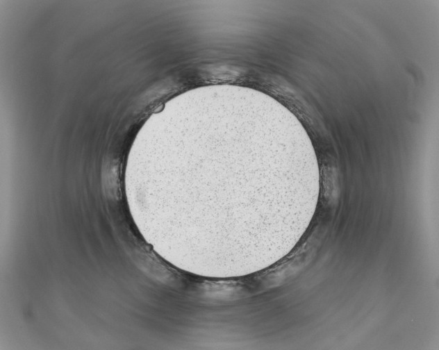 X0000110720378200907241212