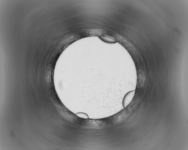 X0000110720379200907241212