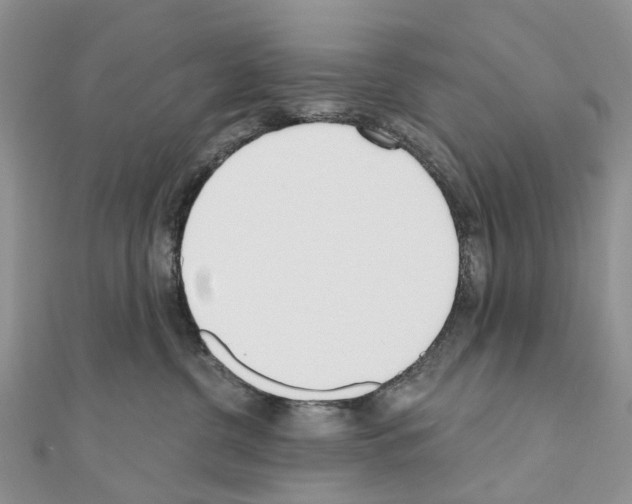 X0000110720380200907241212