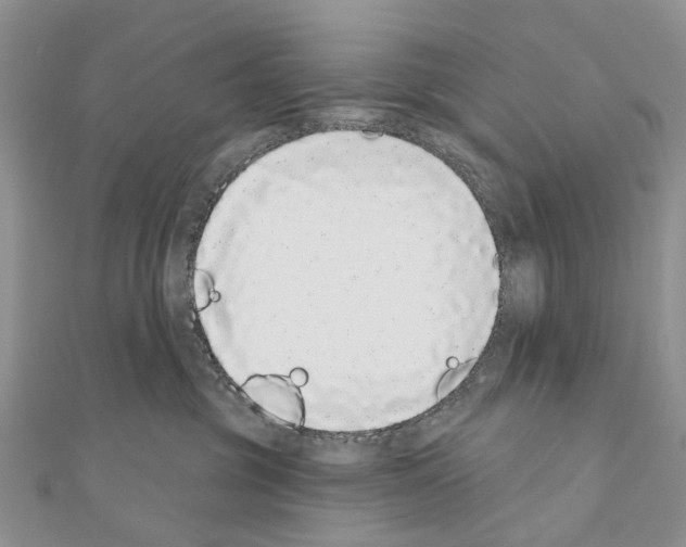 X0000110720381200907241212